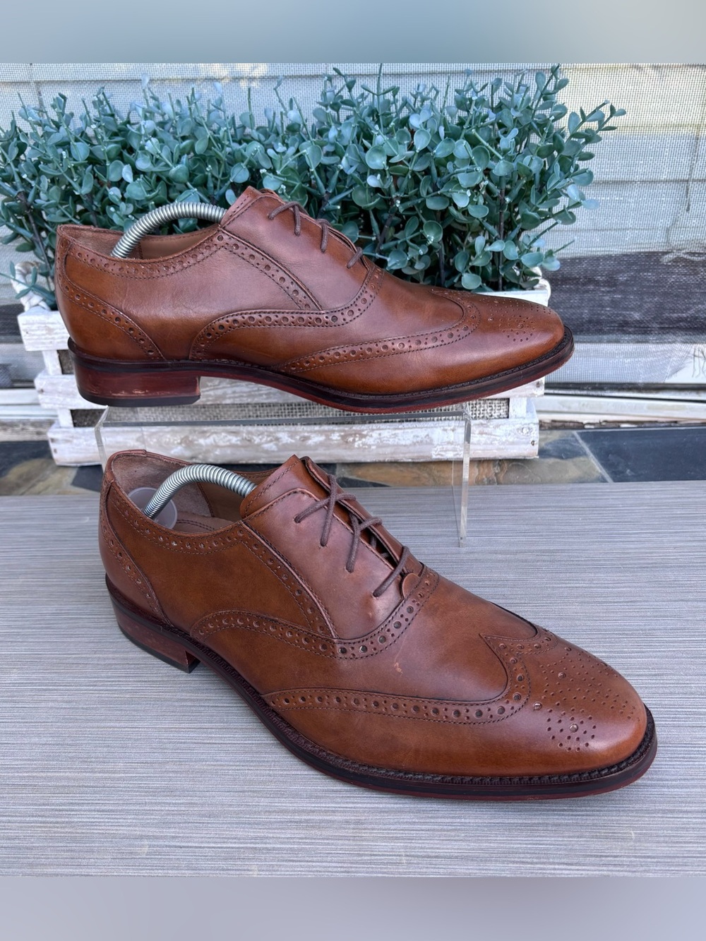 COLE HAAN Cambridge Wingtip Oxfords
